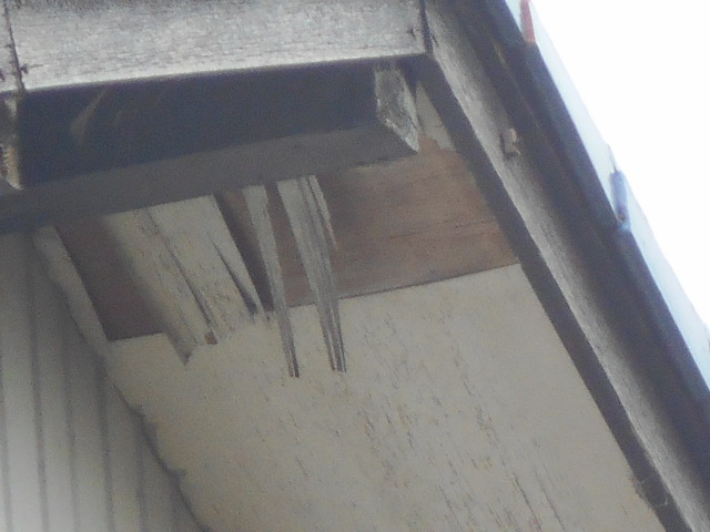 大垣市　軒天の単板が剝がれてボロボロの状態です。垂れ下がっています。軒天調査
